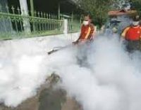 Wilayah Rawan DBD Akan di Fogging