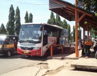 Armada Bus Transmusi Bertambah 50 Unit