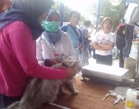 Yuk…. Vaksinasi Gratis Hewan Peliharaan Anda di Palembang Kontes Dan Festival Pet 2016