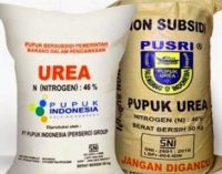 Sumsel Masih Aman Dari Kelangkaan Pupuk