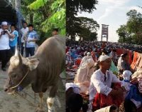 Sholat Idul Adha Dan Pemotongan Hewan Kurban