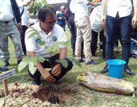 Kemen PUPR Tanam 100 Pohon di JSC