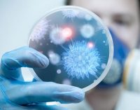 1.500 Jenis Virus Baru Berhasil Diidentifikasi