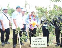 Wawako Dan Kadishut Tanam Pohon Dan Tebar Benih Ikan