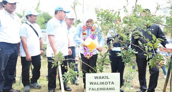 Wawako Dan Kadishut Tanam Pohon Dan Tebar Benih Ikan