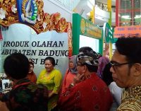 Gebyar Produk Unggulan Nusantara 2017