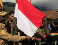 154 Simpatisan OPM Menyerahkan Diri