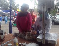 Kali Ketiga, Pet Festival Kembali Digelar Bulan Mei 2017