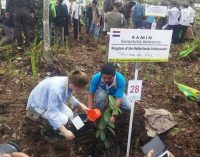 Delegasi Bonn Challenge Tanam 100 Bibit Pohon di Lokasi lahan Gambut