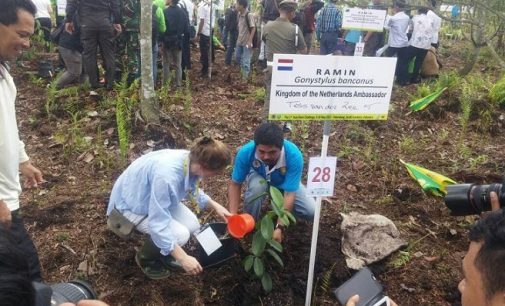 Delegasi Bonn Challenge Tanam 100 Bibit Pohon di Lokasi lahan Gambut