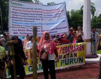 Solidaritas Masyarakat Pedamaran Tuntut Pemkab OKI Keluarkan Regulasi Perlindungan Ekosistem Gambut Purun