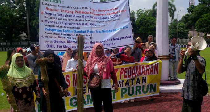 Solidaritas Masyarakat Pedamaran Tuntut Pemkab OKI Keluarkan Regulasi Perlindungan Ekosistem Gambut Purun