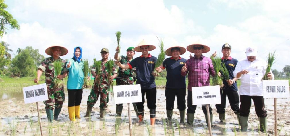 Harnojoyo : Palembang Masih Memiliki Lahan Sawah