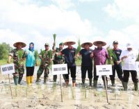 Harnojoyo : Palembang Masih Memiliki Lahan Sawah