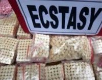 Aseng Kendalikan Penyeludupan 1,2 Juta Ekstasi Asal Belanda