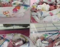 Pasien Inseminasi RSMH Palembang Lahirkan Bayi Kembar Empat