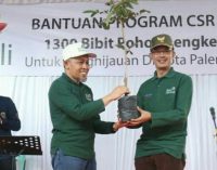 1.300 Bibit Pohon Lengkeng Dari PT PLN Bantu Penghijauan Kota Palembang