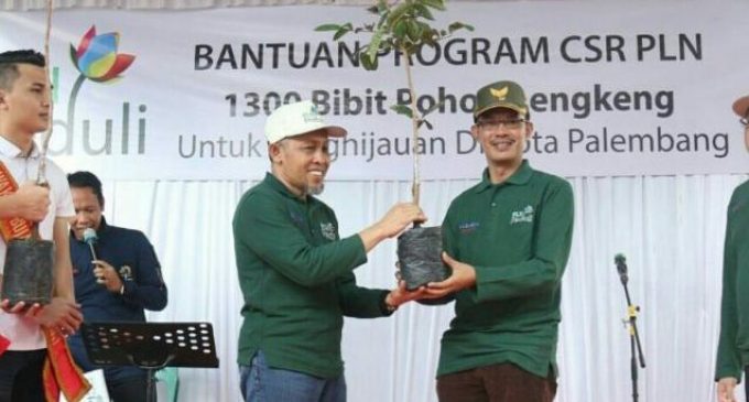 1.300 Bibit Pohon Lengkeng Dari PT PLN Bantu Penghijauan Kota Palembang