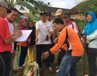 Air Lintang, 1 Rumah 10 Lada