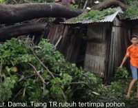 Ini Penyebab Padam Listrik Di Sebagian Wilayah Kota Palembang