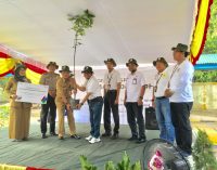 Peringati Hari Lingkungan Hidup, PLN Tanam 32.000 Pohon