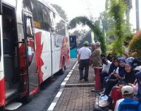 Ramaikan Suasana Mudik Bareng BUMN 2018, PTBA Adakan Transportasi Gratis