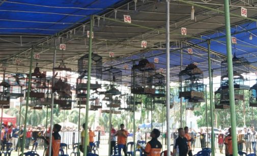 Festival Pameran Burung Berkicau Kapolres Muara Enim Cup 2018 Berlangsung Seru