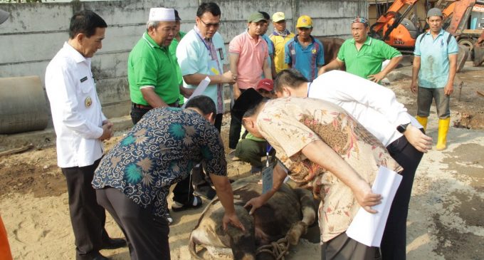 Dinas PUPR Palembang Bagikan 1.200 Daging Kurban