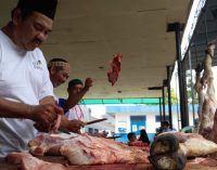 PLN Berbagi Hewan Qurban Bersama Ratusan Kaum Dhuafa Dan Fakir Miskin