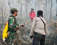 Satgas Karhutbunla Sukses Padamkan Api di Wilayah OI dan OKI