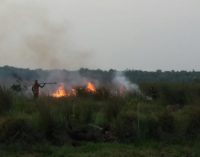 Dua Helly BNPB Dan Satgas Terpadu Dikerahkan Padamkan Api di OKI