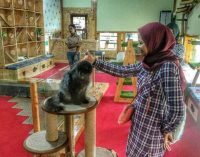 Bird Park Palembang Buka Arena Baru