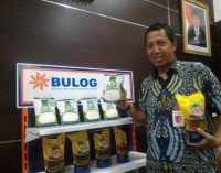 Bulog Divre Sumsel dan Babel Siap Serap Padi Petani Februari Mendatang