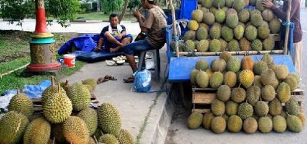 Kota Palembang Dibanjiri Pedagang Durian