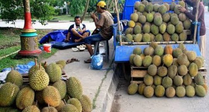 Kota Palembang Dibanjiri Pedagang Durian