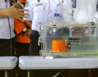 Kopaska Temukan Kotak Hitam Lion Air PK-LQP. CVR