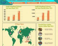 Ekspor Ikan Hias Sumsel Meningkat 25 Persen