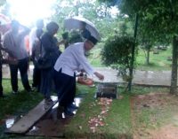 Peringati HUT Ke 62, Direktur RSMH Palembang Ziarah Dan Tabur Bunga ke Makam Dr. Mohammad Hoesin