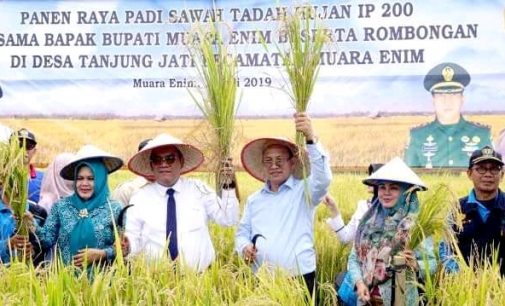 Hadiri Panen Raya, Bupati Muara Enim Ajak Petani Tingkatkan Produktivitas Padi