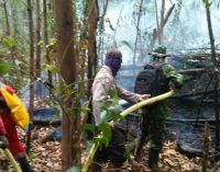 Dandim Muba Turun Langsung Padamkan Api di Lokasi Karhutla