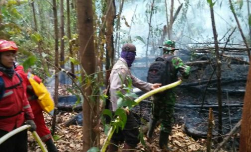 Dandim Muba Turun Langsung Padamkan Api di Lokasi Karhutla