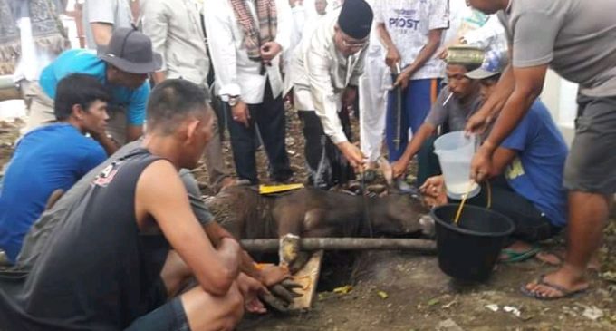 Usai Laksanakan Sholat Ied, Wabup Muara Enim Serahkan Satu Ekor Sapi Kurban