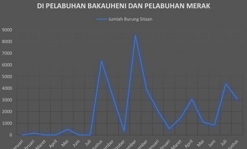 Populasi Burung Liar Sumatera Berkurang 3.250 Setiap Harinya Akibat Perburuan Ilegal