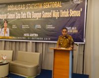 Bangun Sumsel Satu Data, Diskominfo Gelar Sosialisasi Statistik Sektoral