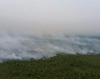 Tim Satgas Telah Laksanakan 18 Kali TMC Dan 521 Waterboombing di Sumsel