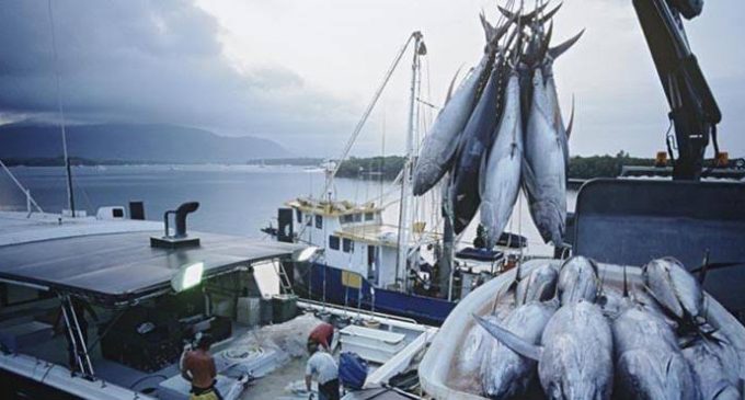 Garis Pantai Terpanjang Kedua Dunia, Kenapa Indonesia Masih Impor Ikan ?