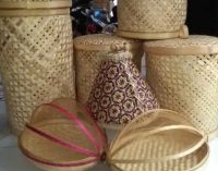 2 Tahun Tidak Berjalan, Anggaran BUMDES Muara Tenang Terancam Dibekukan