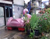 Terkesan Pencitraan, Perahu Bebek Diturunkan Hanya Untuk Sesi Pemotretan