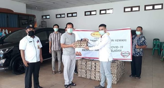 Peduli Warga Terdampak Covid-19, PT Malindo Feed Milk Serahkan Bantuan 5 Ribu Butir Telur Ayam