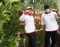 Herman Deru : Taman Wisata Mangrove Sumsel Siap Saingi Bali
